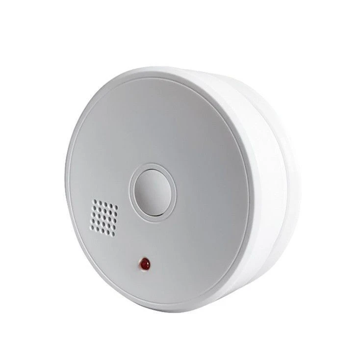 stand-alone-co-alarm-detector16560132010